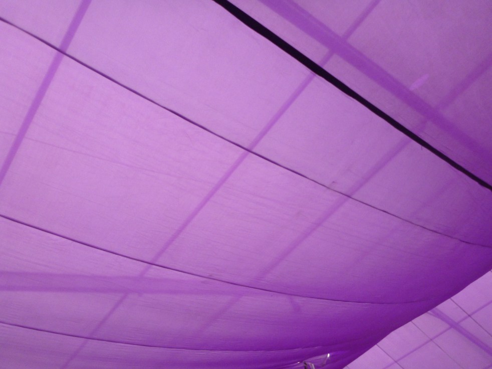 Under Purple Canvas Roof